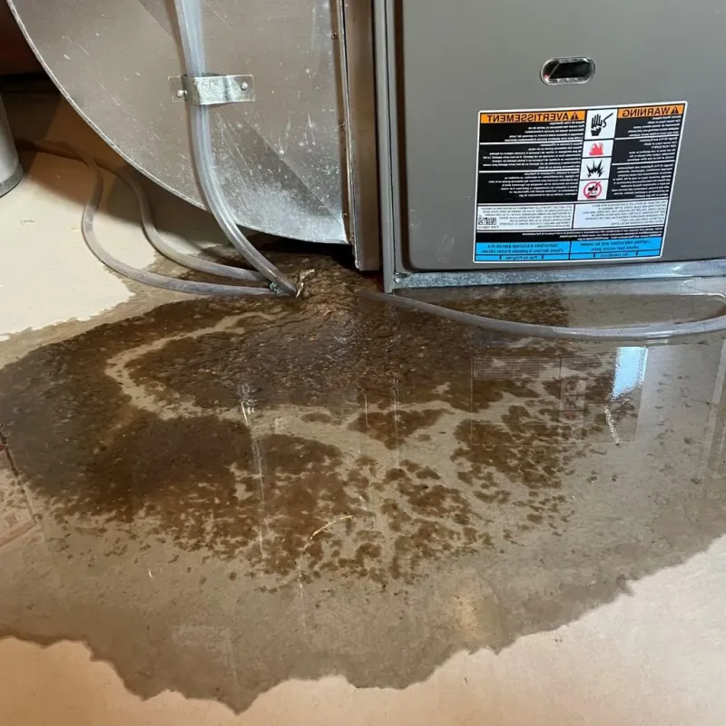 Pipe Burst and Leak Restoration in Grand Canyon Village, AZ